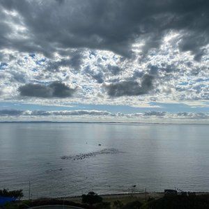 Meet your Posher, Carol